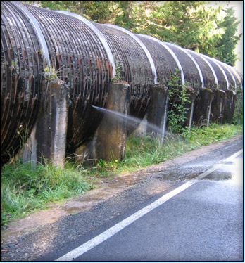 Business Risk Evaluation - Prism Consulting